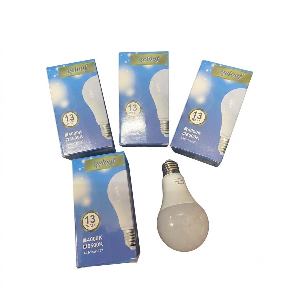 SE SETIA ELECTRIC GELOOF 13W LED BULB E27 6500K