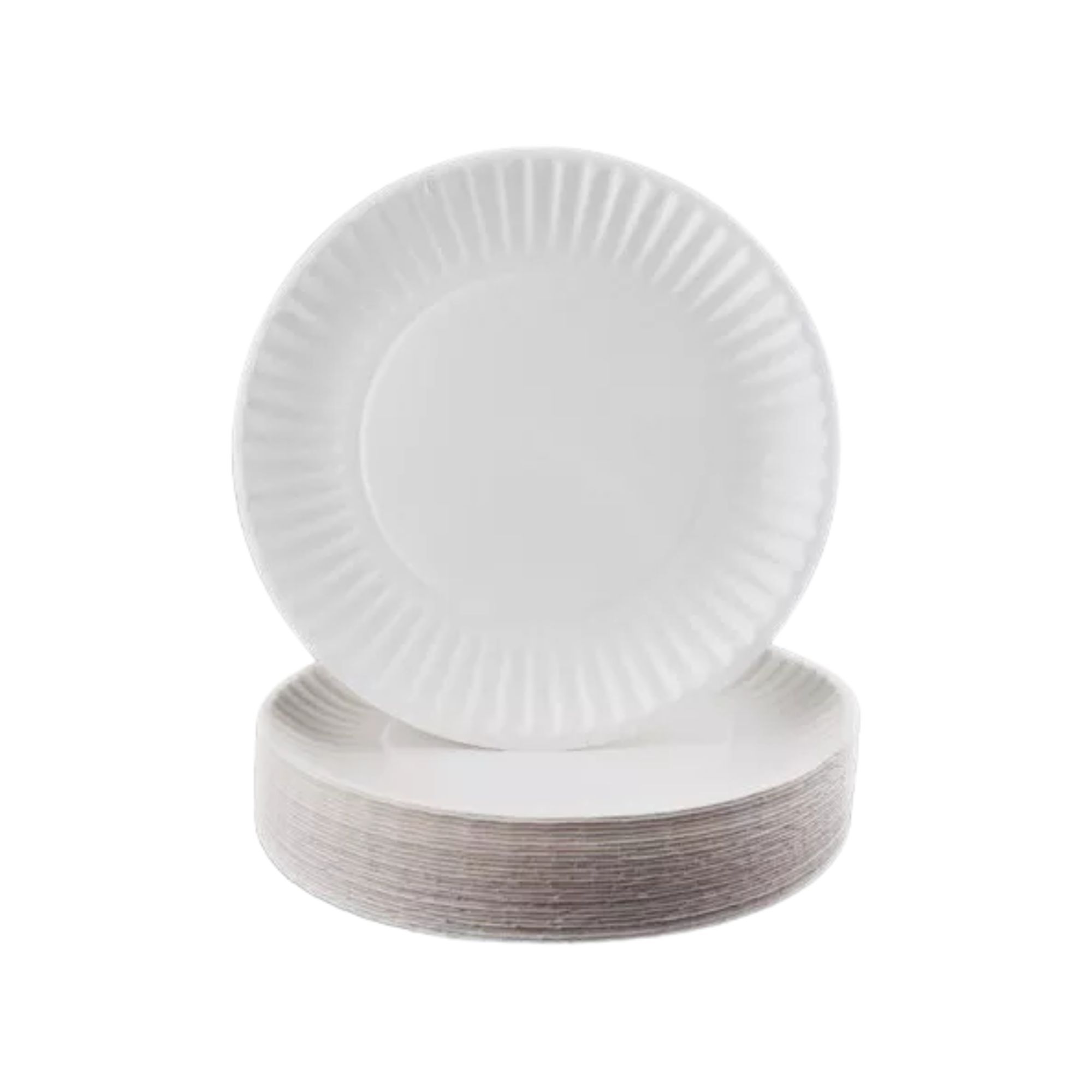 Paper Plate 9in