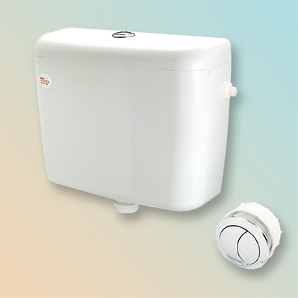 TECHPLAS 1101  ELEGEN CISTERN DOUBLE PUSH FLUSH BUTTON