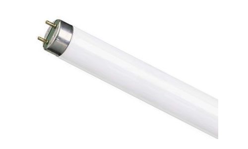 Others *Fluorcent Ligh Bulb , 25 Pcs/ Box, L18w/ 765 - Phi- Tld18w/86