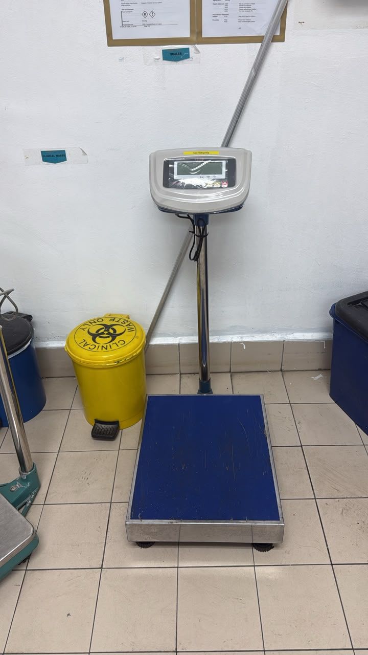 Digital Electronic Platform Scale