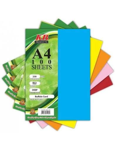 Others *A4/Fancy Card/Kad Mewah 230gsm/Card Stock Paper (100'S)
