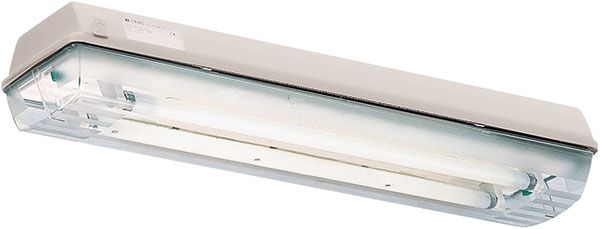 CEAG Twin Fluorescent Hazardous Area Light, 36W - 12266875111