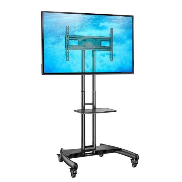 Mobile TV Rack and TV Cover