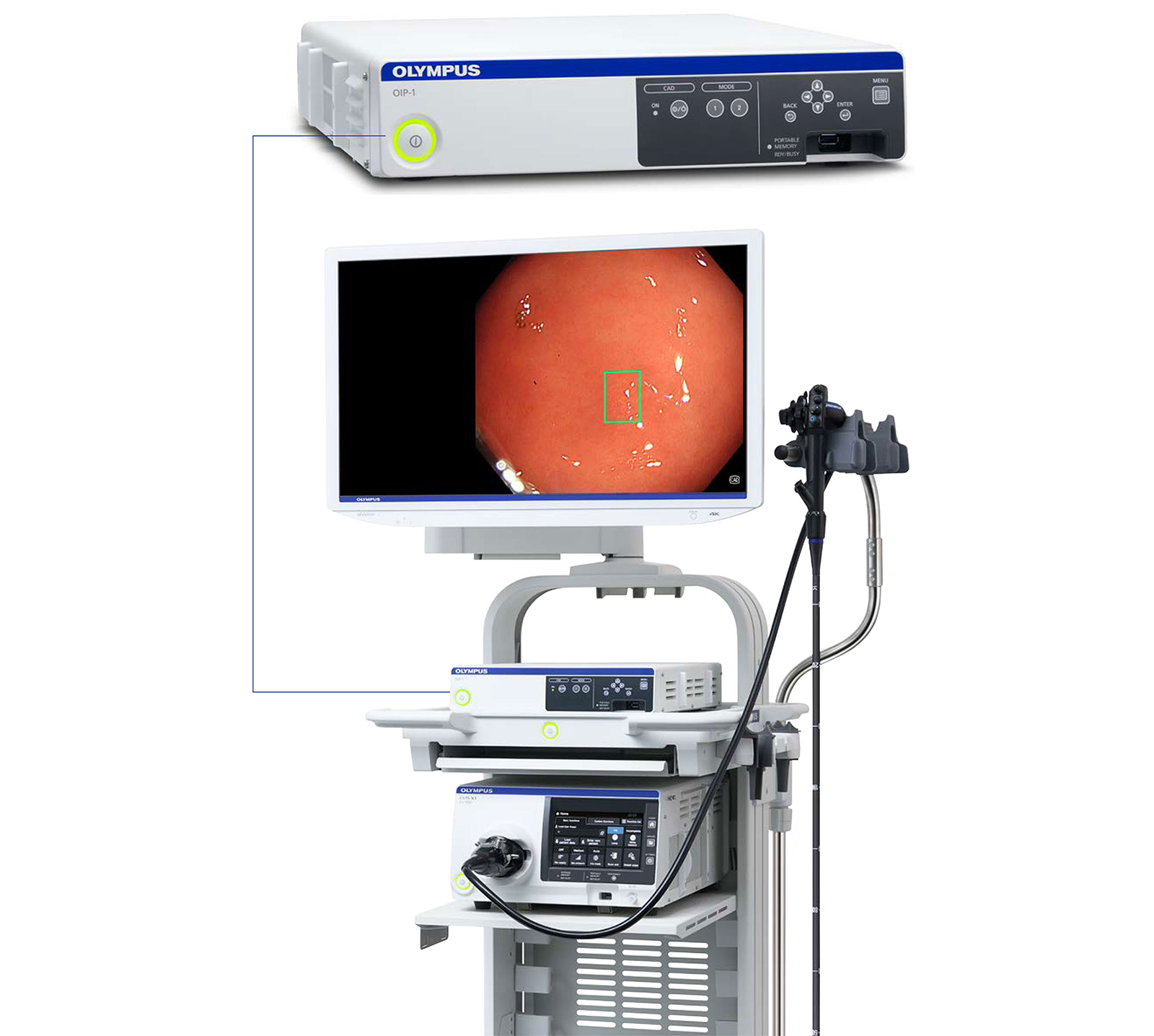 OLYMPUS OIP-1 (PAL) ENDOSCOPY CAD SYSTEM