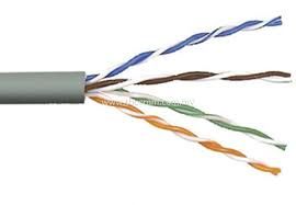 NETWAY CONTROL CABLE (30M)